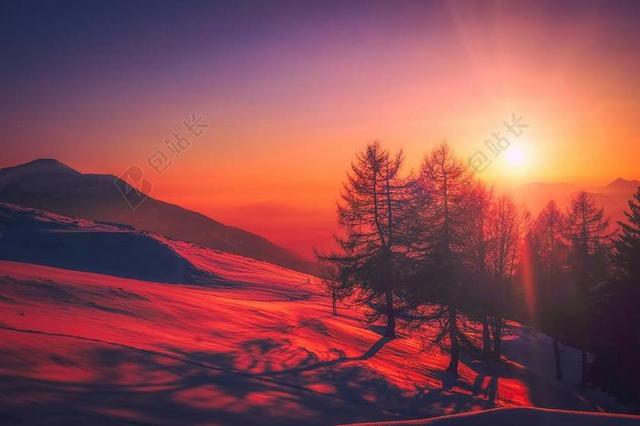 意大利 日出 天空 云 美丽 山 雪 冬天 森林 树