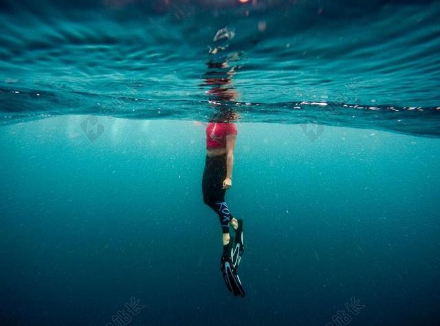 脚蹼 海洋 人 海 游泳 水下 水