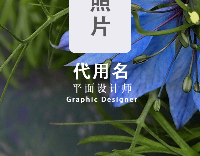 工作证图片