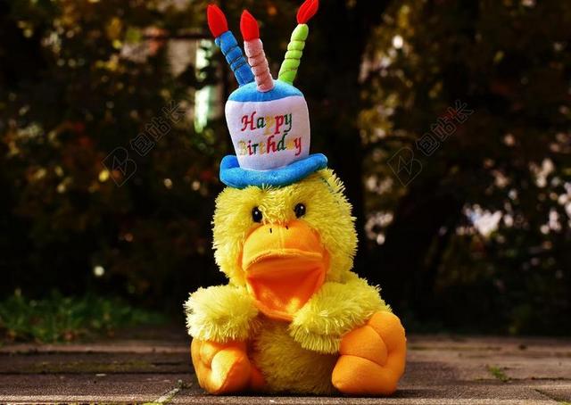 广告时尚鸭子生日礼物背景图片