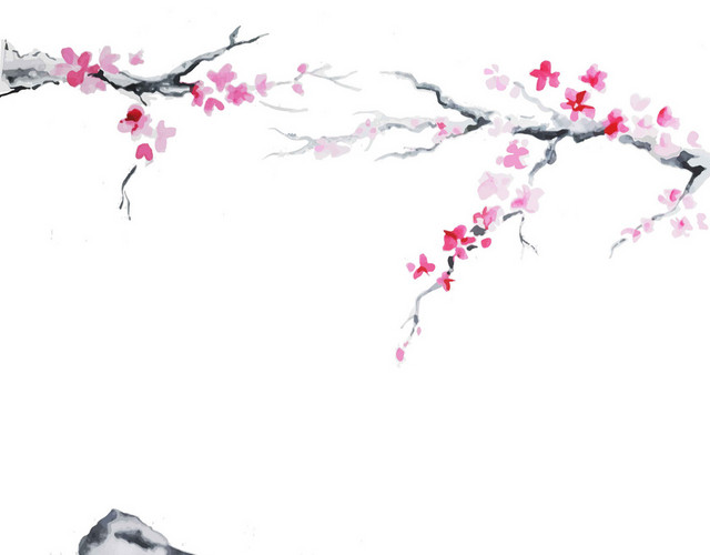 树枝花枝樱花背景