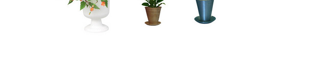 日常花植物素材