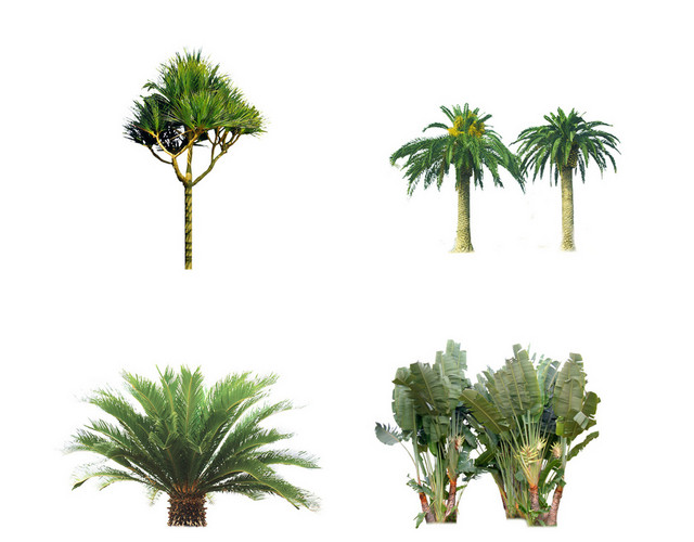 植物素材环境设计