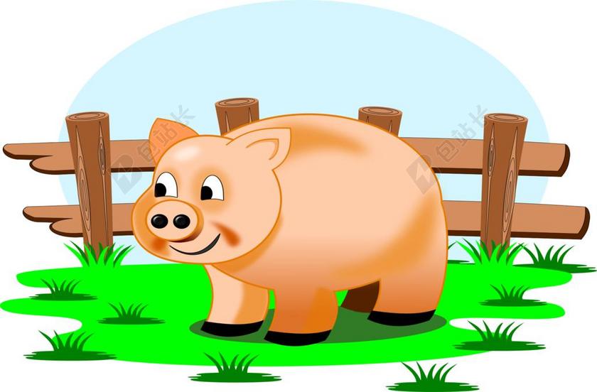 农场 小猪 字段 创建 动物 关于 农村 景观 ROçA