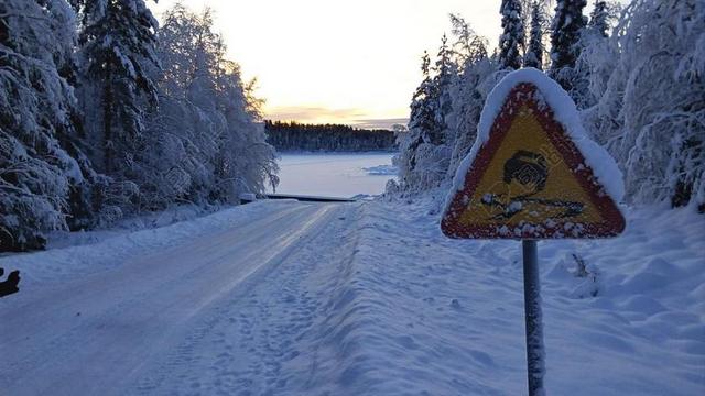 交通标志 雪 冬季的心情 雪景 拉普兰