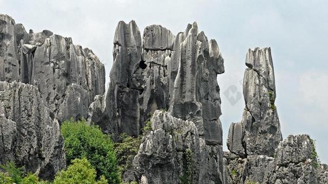 岩 岩针 岩层 中国 昆明 石林 石头 景观 石灰石