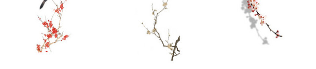 梅花素材