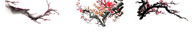 梅花素材