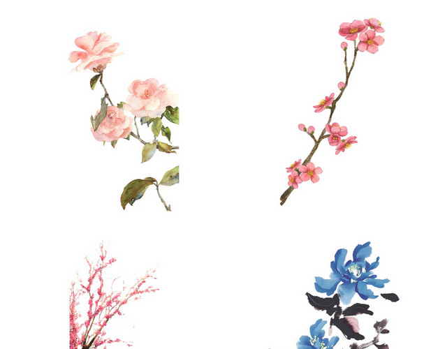 梅花素材