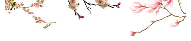 腊八节素材