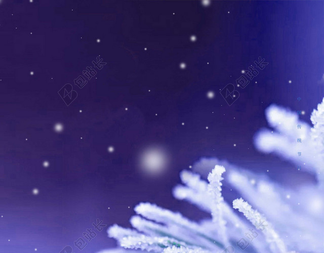 实拍雪花雪松冰冻小寒大寒冬天海报蓝色背景素材