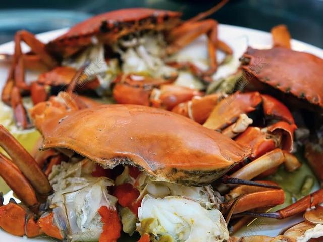蟹 蒸 海鲜 食品 新鲜 橙色 烹饪 海 餐厅 海洋