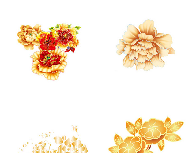 牡丹花素材