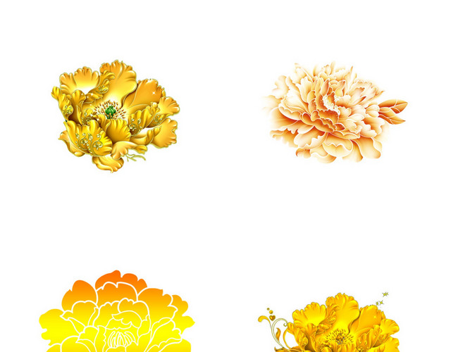 牡丹花素材