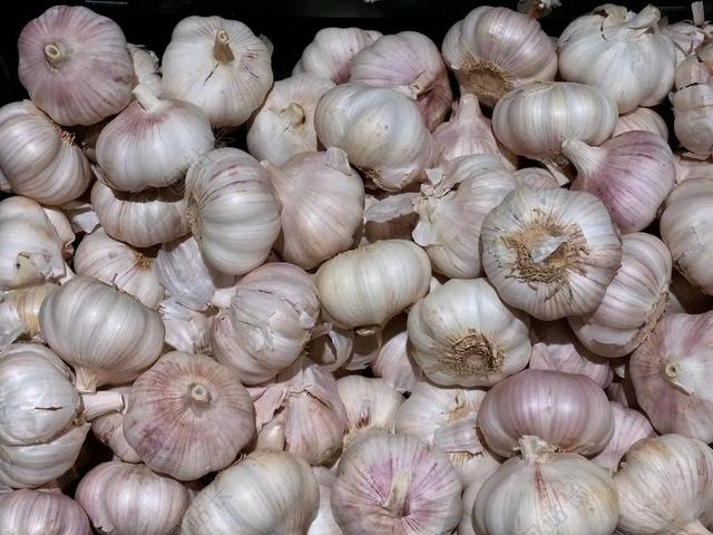 餐饮清新洋葱堆积背景图片
