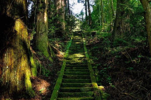 日本 麻生太郎 神社 楼梯 青苔 绿色