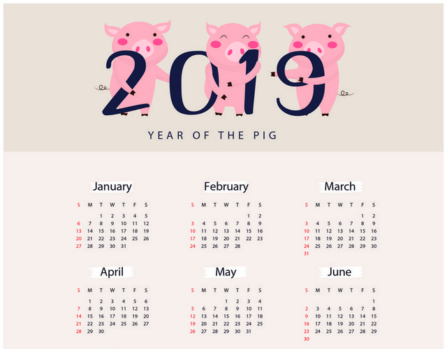 猪年台历2019简约猪年日历