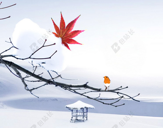 红枫草亭大寒冬天冬季大雪小雪下雪小寒白色背景海报