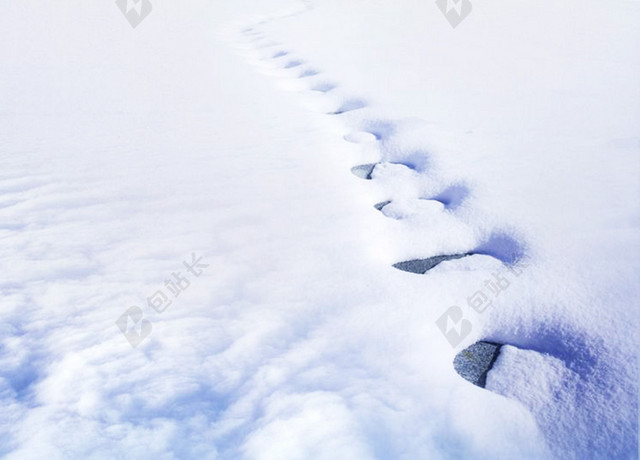 红枫草亭大寒冬天冬季大雪小雪下雪小寒白色背景海报