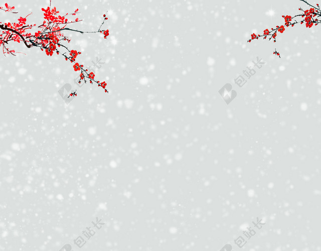 围墙覆雪大寒冬天冬季大雪小雪下雪小寒米色背景海报