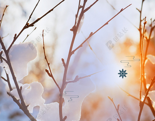 透光树枝挂雪大寒冬天冬季大雪小雪下雪小寒蓝色背景海报