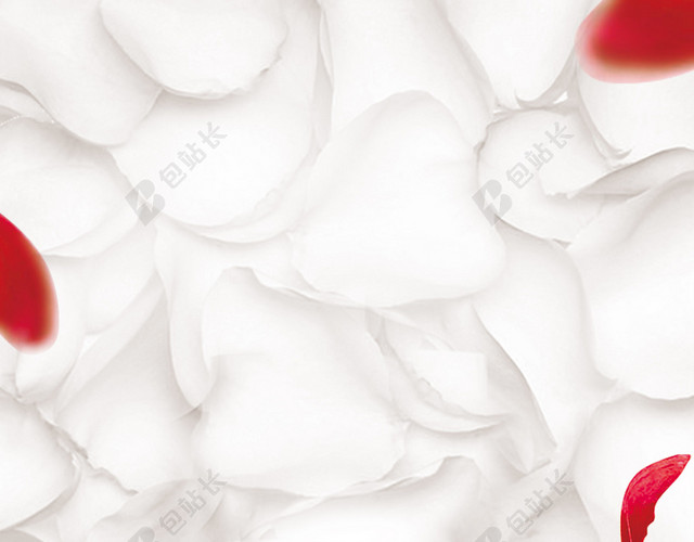 奢华气质花瓣红白精品高端产品海报海报背景