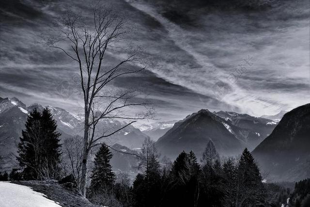 景观 山 山峰 性质 展望 树木 天空 云 阴霾 雪