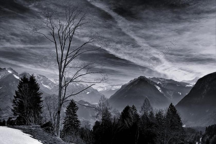 景观 山 山峰 性质 展望 树木 天空 云 阴霾 雪
