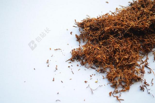 烟草 吸烟者 香烟 尼古丁 成瘾 习惯 癌症 雪茄 有毒