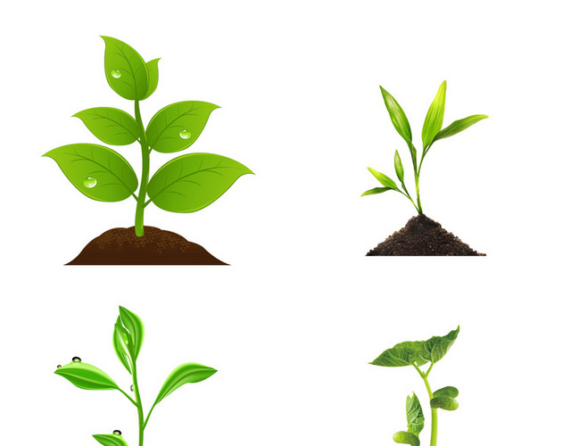 植树节素材