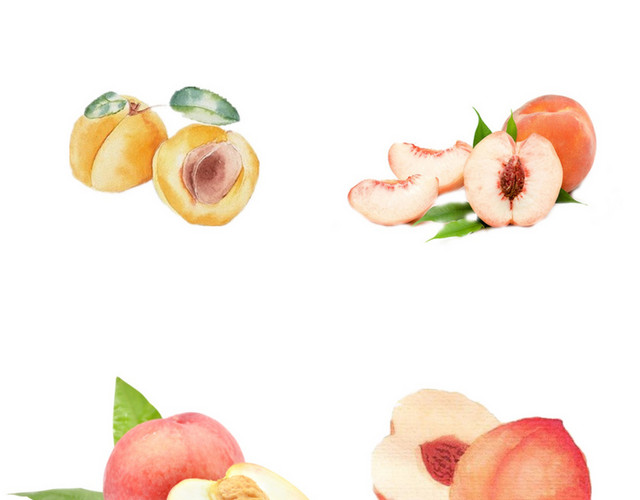 美食食物水果素材