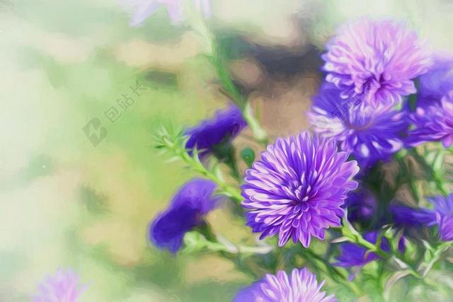 绘画艺术油画植物背景图片