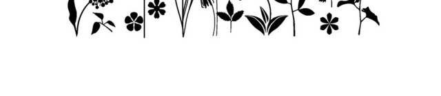 树叶花束矢量素材