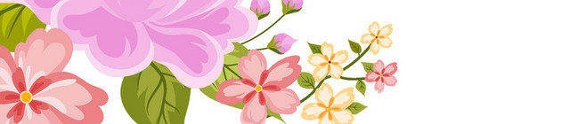 花边边框矢量素材
