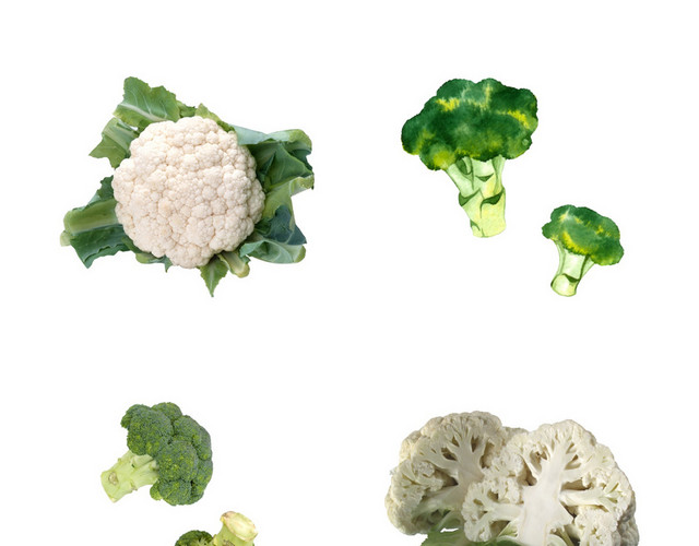 蔬菜蔬果素材