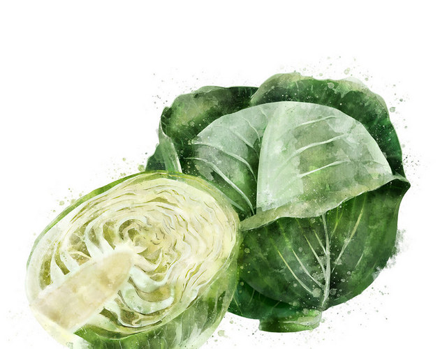 疏果疏菜素材