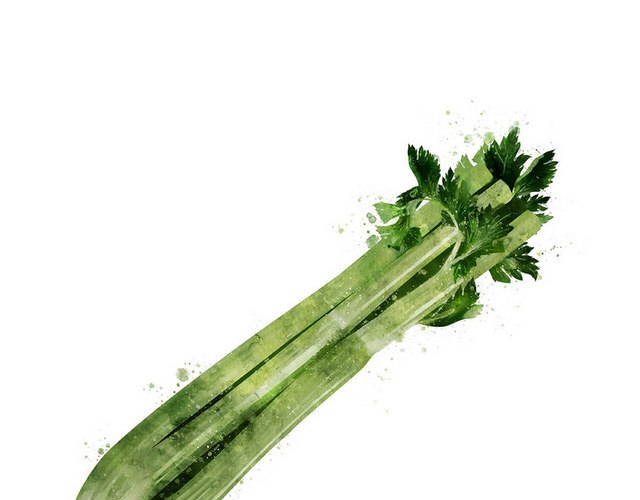疏果疏菜素材