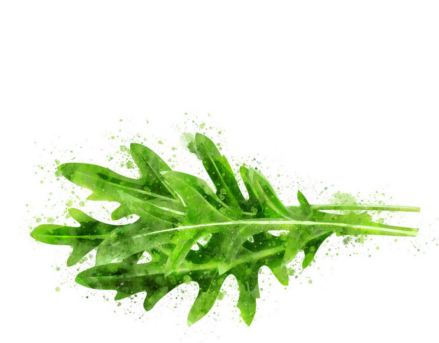 疏果疏菜素材