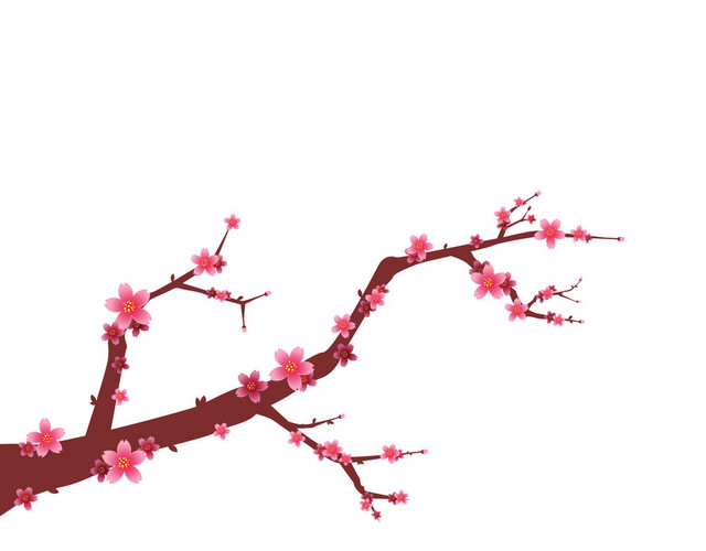 春天樱花植物素材