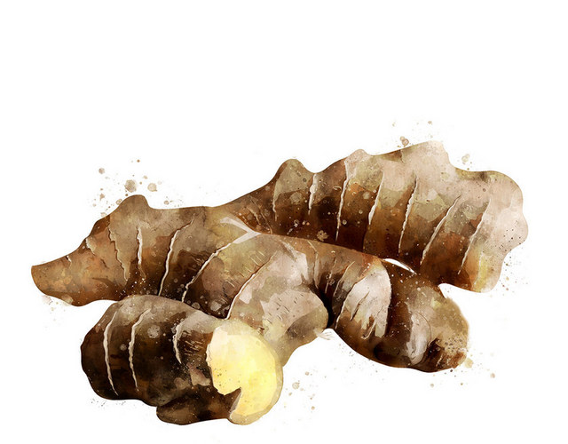 疏果疏菜素材