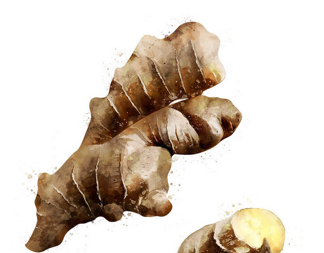 疏果疏菜素材