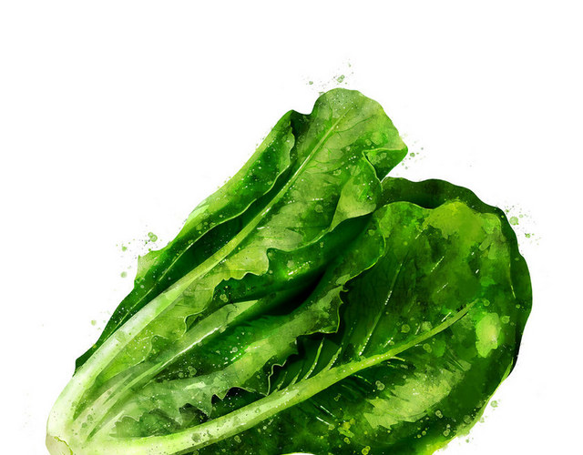 疏果疏菜素材