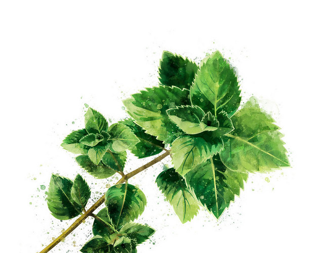 疏果疏菜素材