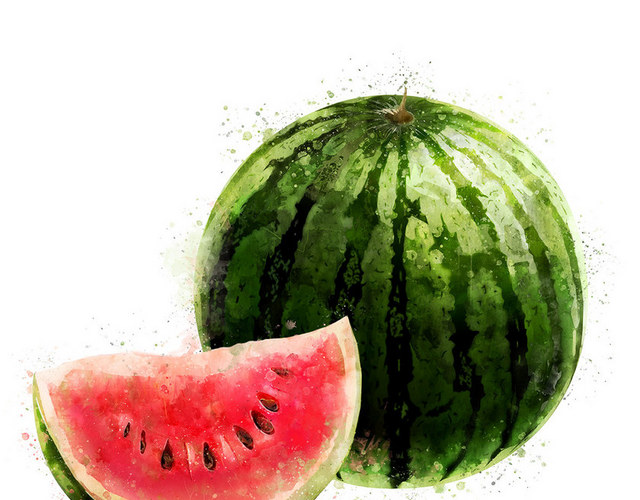 疏果疏菜素材