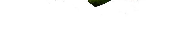 疏果疏菜素材