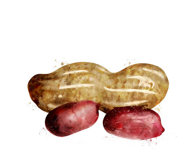 疏果疏菜素材