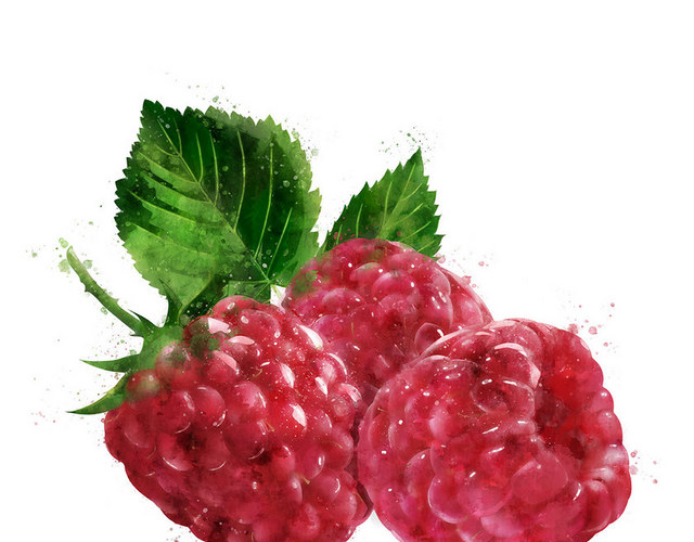 疏果疏菜素材