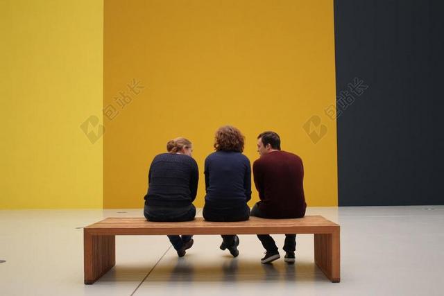 访客 展览 请参阅 博物馆 艺术 画廊