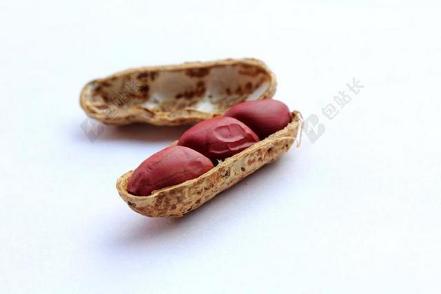 花生 封面 螺母 健康 食品 好吃 小吃 营养 红色