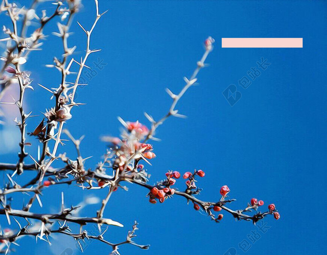 创意蓝白背景花蕾立春二十四节气春天海报背景
